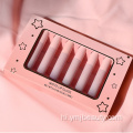 6 रंग गुलाबी लिपस्टिक गोल्ड लिक्विड लिपस्टिक सेट